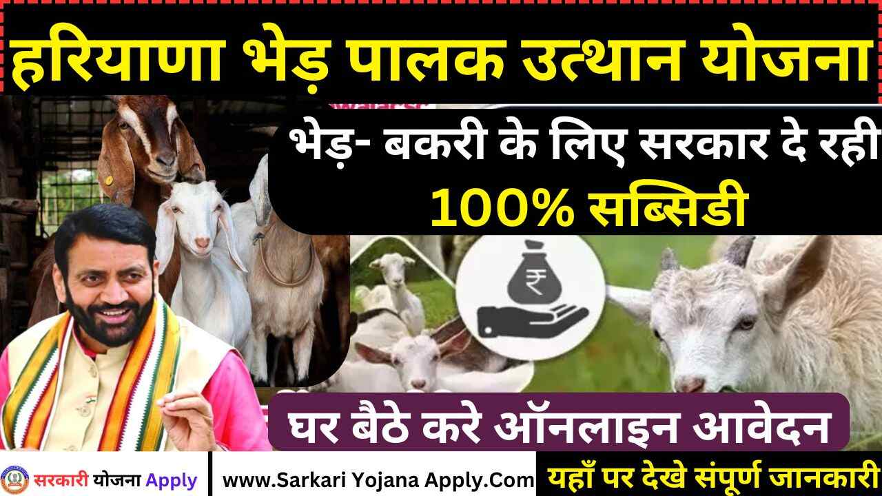 Haryana Bhed Palak Uthan Yojana: 70 thousand subsidy for sheep rearing