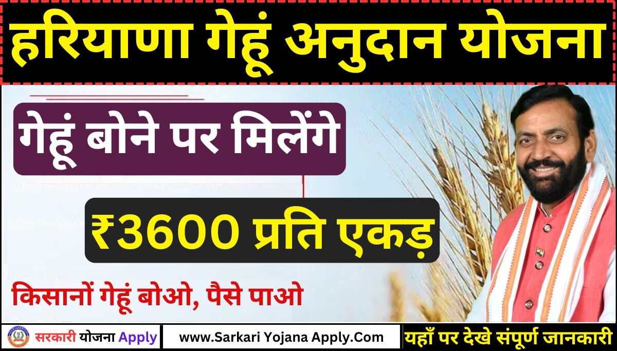 Haryana Gehu Beej Anudan Yojana: Farmers will get ₹ 3600 on wheat