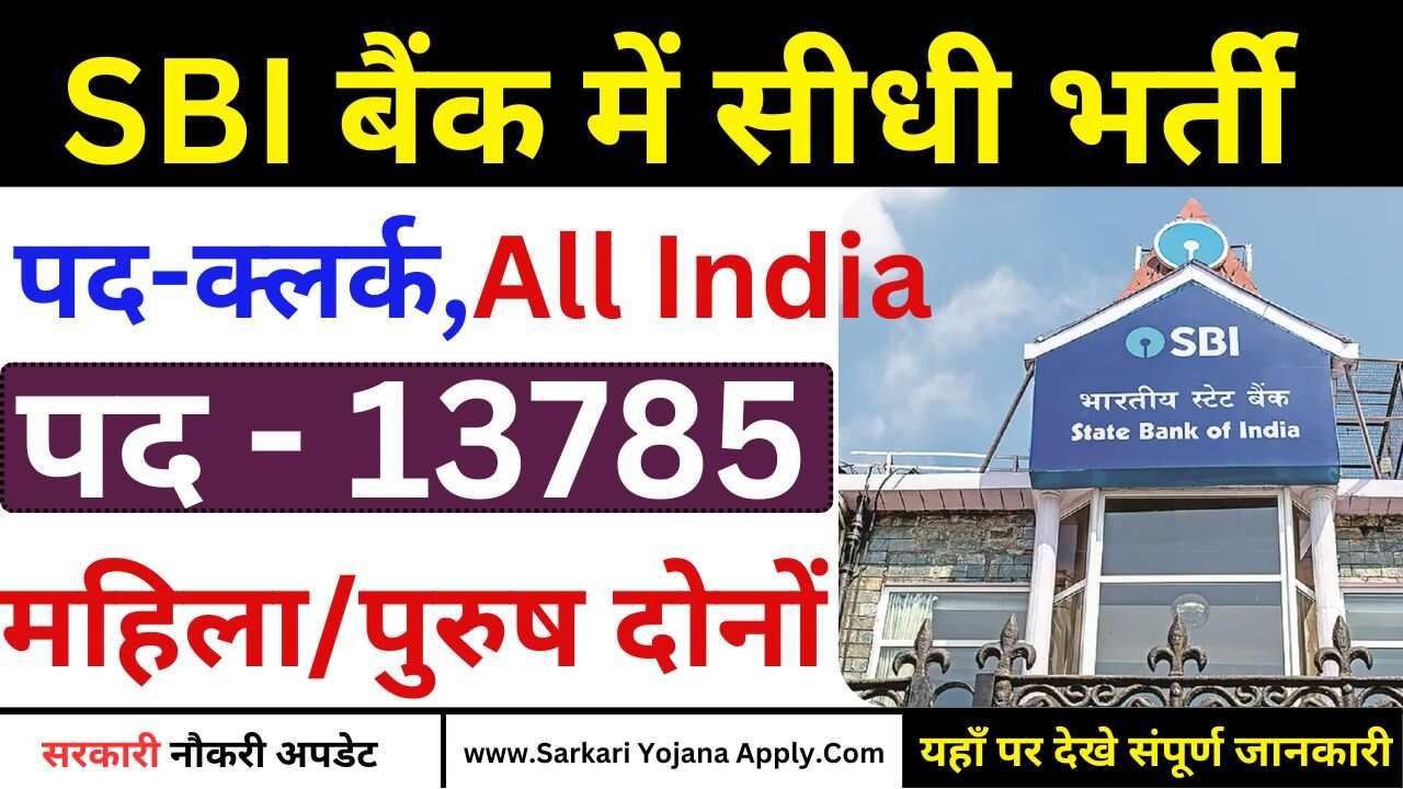 SBI Bank Clerk Vacancy 2024: 13785 पदो पर बैंक में भर्ती