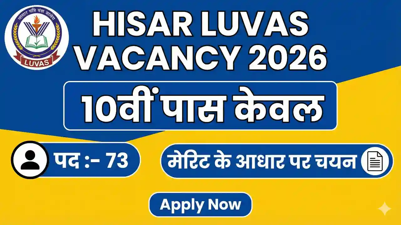 Hisar LUVAS Vacancy